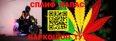 PSILOCYBIN Изобильный
