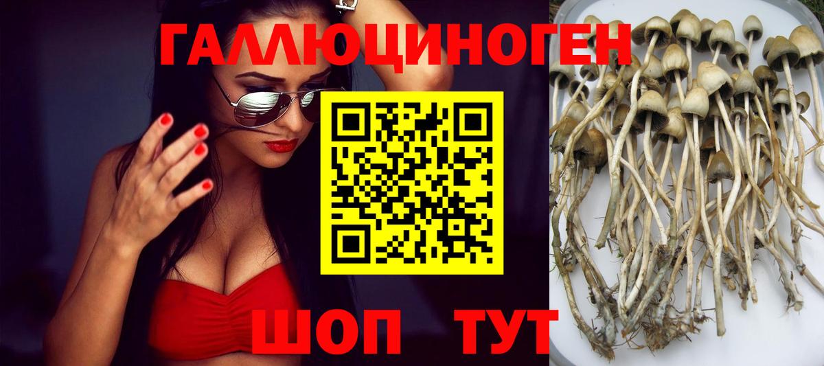 Псилоцибиновые грибы Magic Shrooms Магадан
